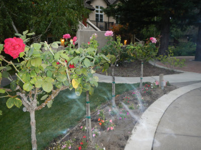 napa_2012-2.jpg