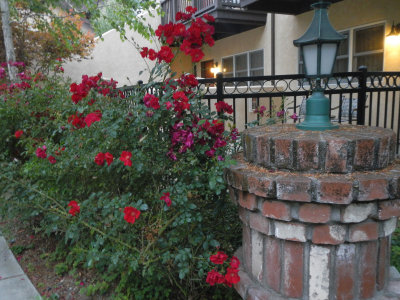 napa_2012-3.jpg