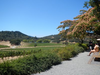napa_2012-8.jpg
