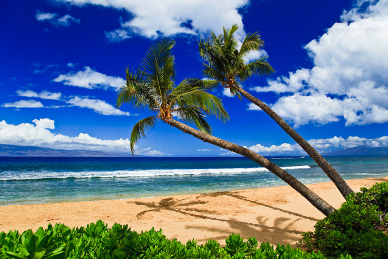 Kaanapali Beach RD-624 