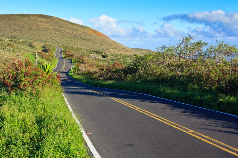 Winding Road to Hana 33991