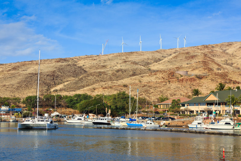Maalaea Harbor 35366 
