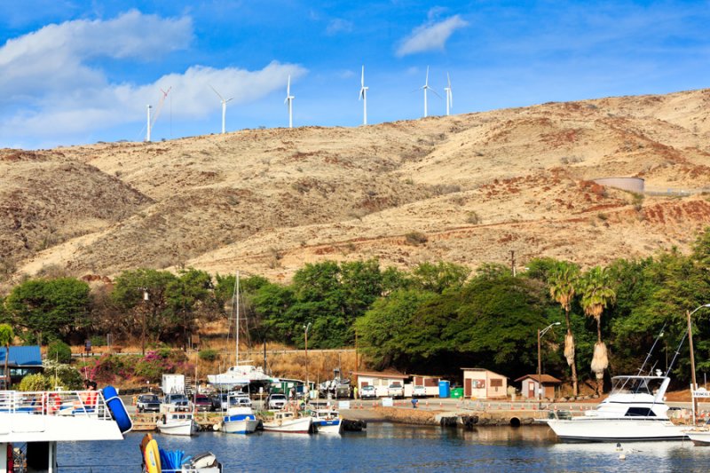 Maalaea Harbor 35390 
