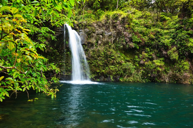 Waterfall - Hana 33880.jpg