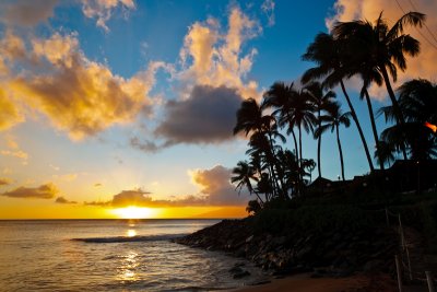 Napili Sunset in Maui 04024 