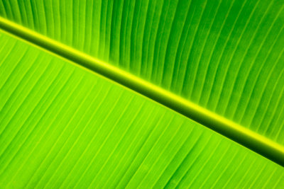 g4/84/801284/3/142950391.sb1FP5hx.jpg