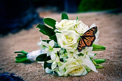 Butterfly Bouquet