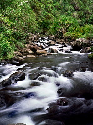 Iao Valley Stream