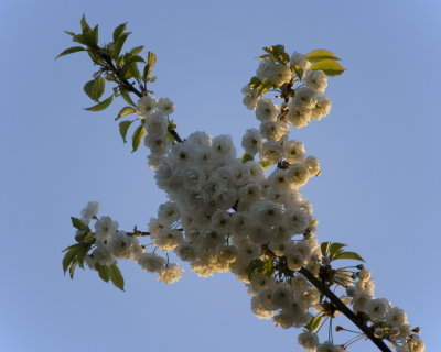 g4/84/809884/3/134603241.x2uC2ycJ.jpg