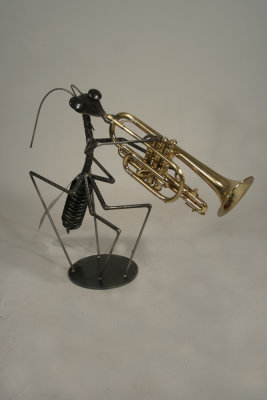 jazz bug on cornet