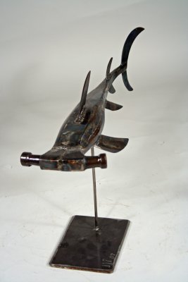 hammer head shark
