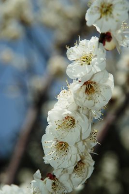 1204010179w.jpg