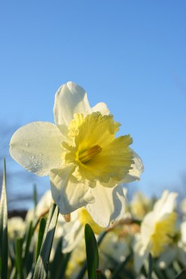 20120415_211w.jpg