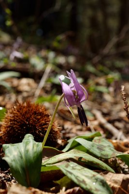 20120428_031w.jpg