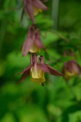20120623_161w.jpg