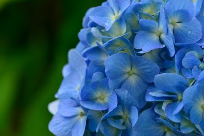 20120625_059w.jpg