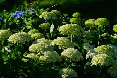 20120630_001w.jpg