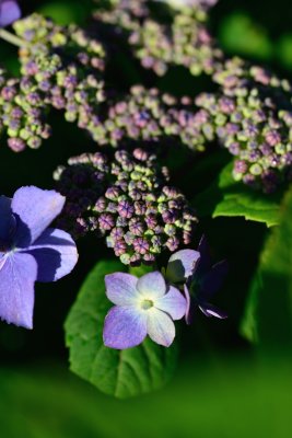 20120630_007w.jpg