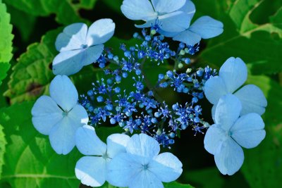 20120630_030w.jpg