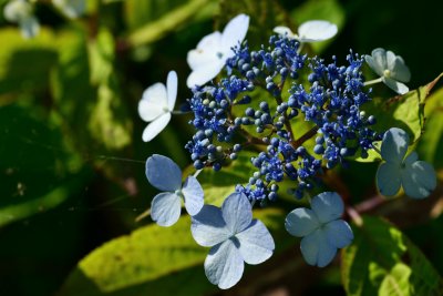20120630_037w.jpg