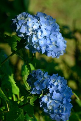 20120630_090w.jpg