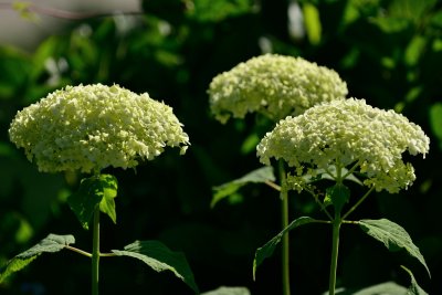 20120630_116w.jpg