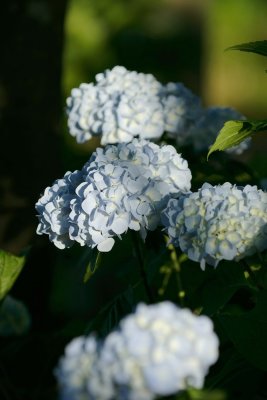 1206300028w.jpg