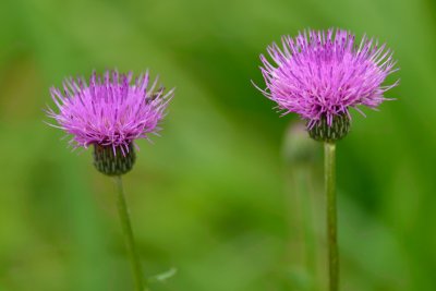 20120716_035w.jpg