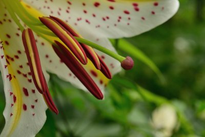 20120721_042w.jpg