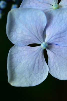 20120721_072w.jpg