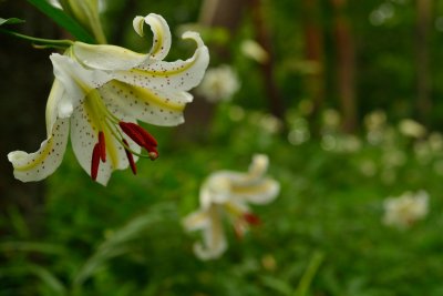20120721_109w.jpg