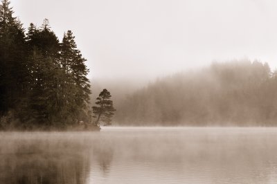 Foggy Morning on Eel Lake