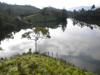 DSCN9905.JPG