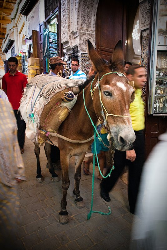 Inside the medina