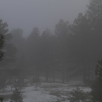 FOGGY DAY IN EVERGREEN_0046-16MB.tif