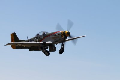 DPP_214.JPG
