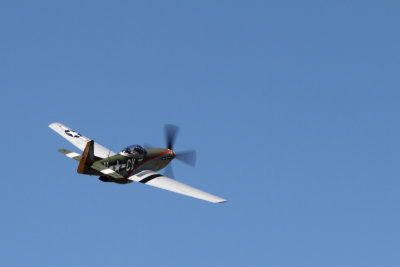 DPP_215.JPG