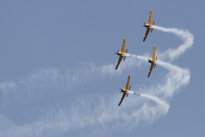 dpp_3300.JPG