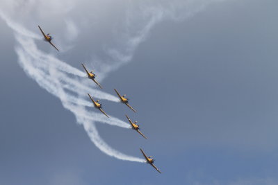 dpp_3301.JPG