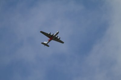 _MG_9620.jpg