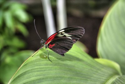 g4/84/987984/3/135540431.STj0Ql5V.jpg