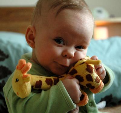 16 weeks old and in love with a giraffe.
