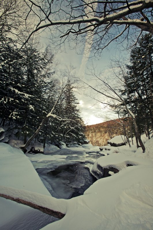 20080104-_MG_6896.jpg