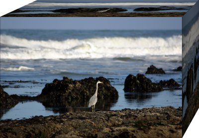 Heron In A Box