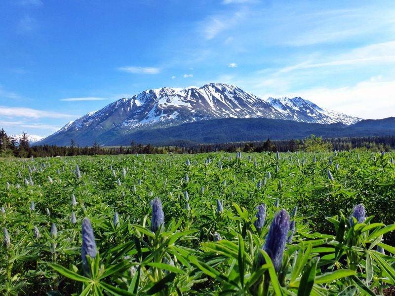 Along Seward Hwy