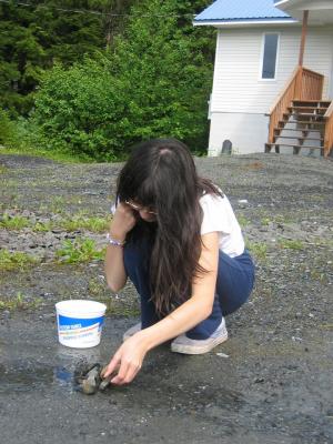 Building a Dam
