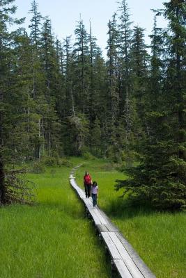 Boardwalk, Tongass National Forest