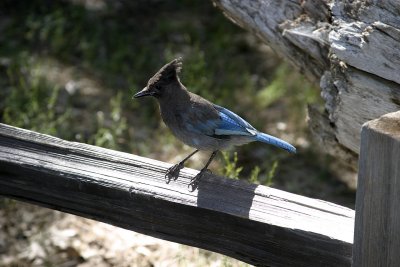 299-CRW_9949.jpg