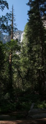 yosemite-falls-1.jpg