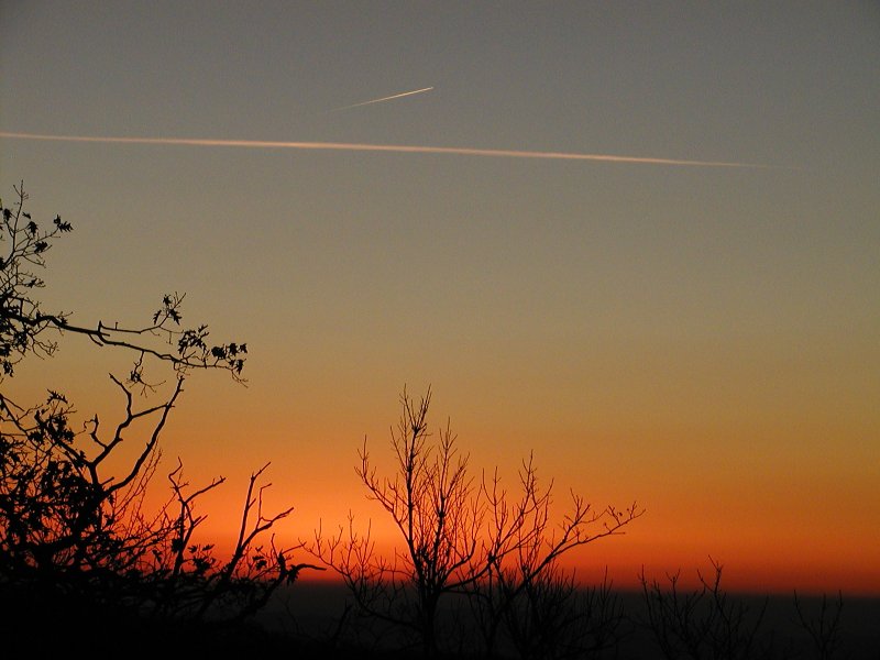 Dawn